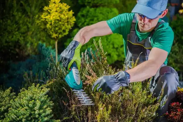 landscaping services Greilickville